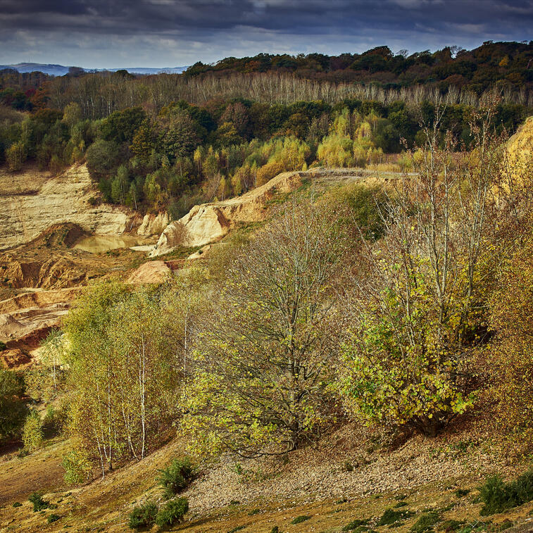 Sandstone Landscape