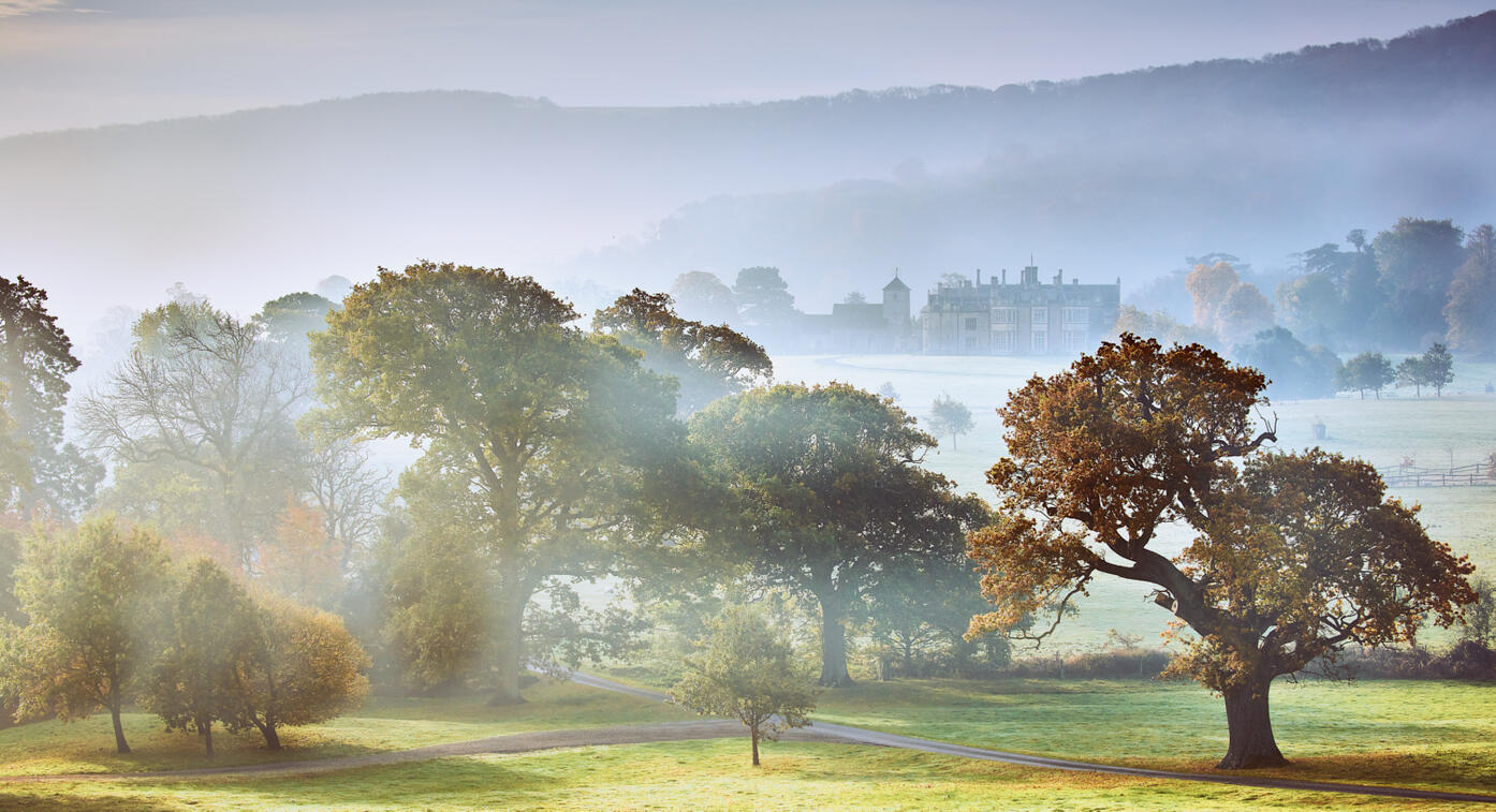 Wiston Park Autumn Mist