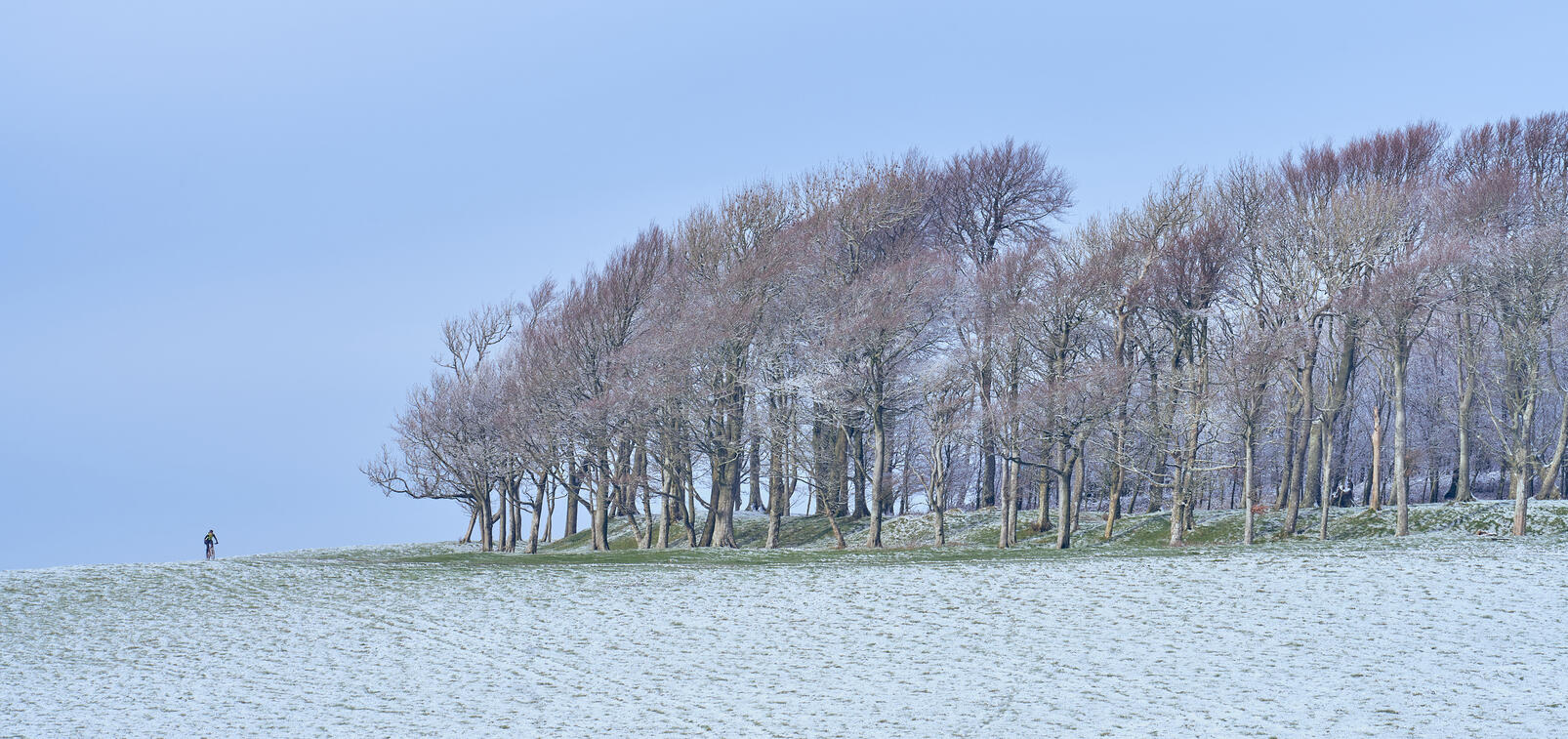 Cyclist in Frost, Chanctonbury Ring