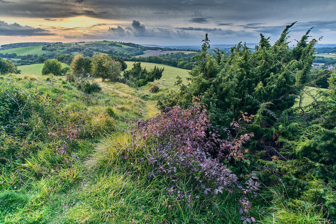 Washington Chalk Pit