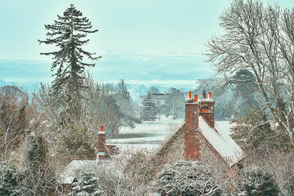 Frozen cottage rooftop view