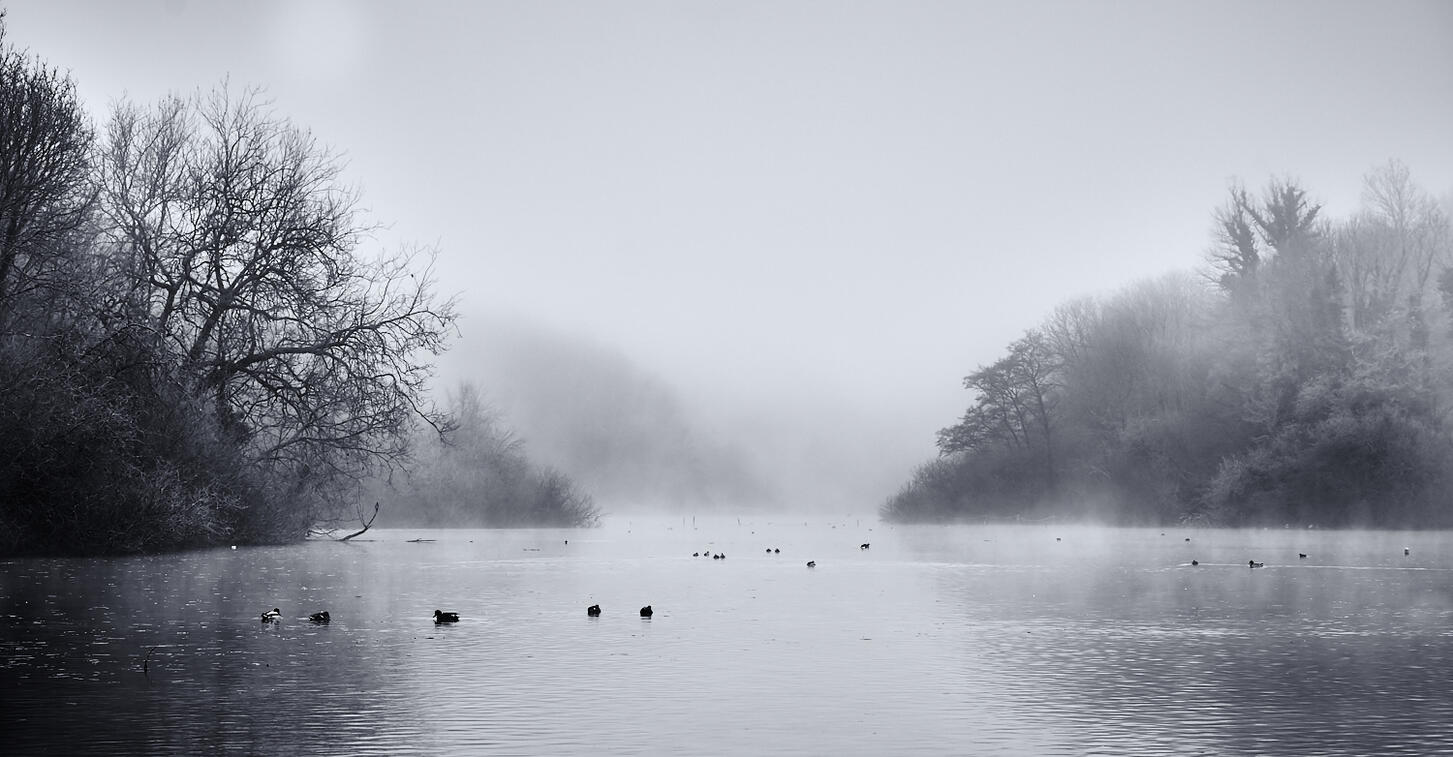 Foggy Lake 2