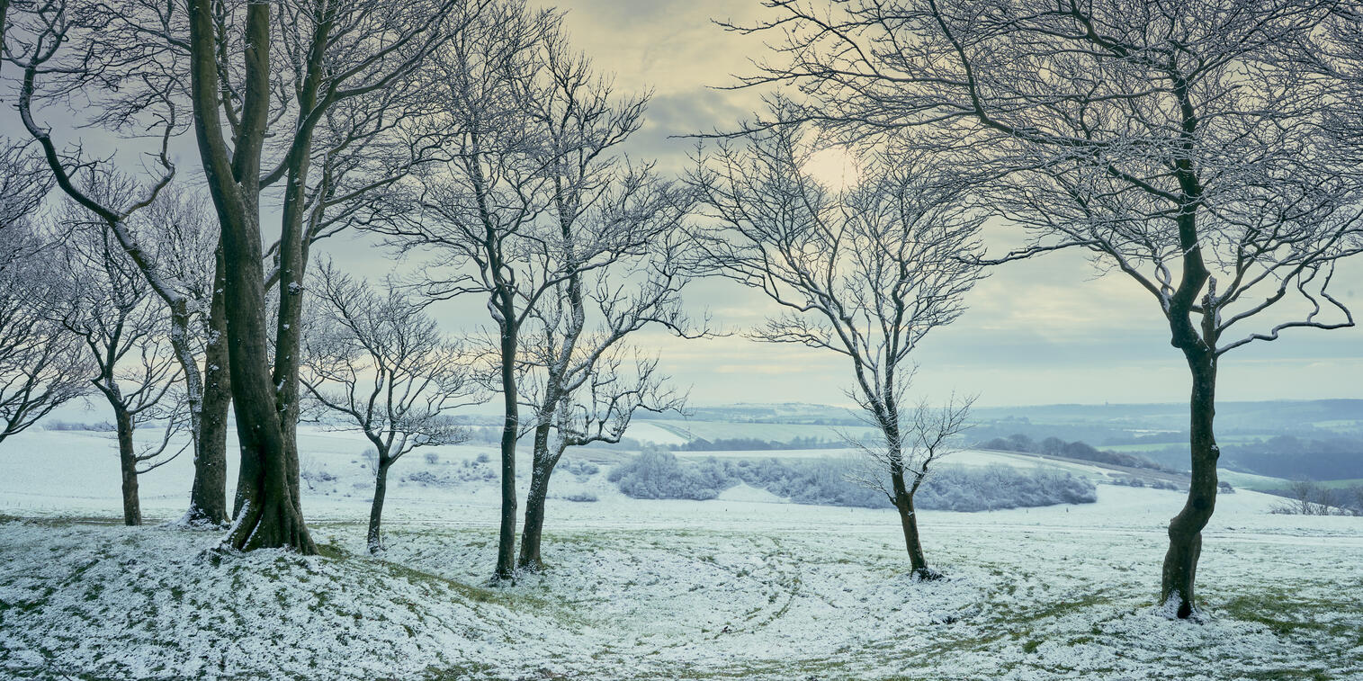 Winter view from Chanctonbury Ring