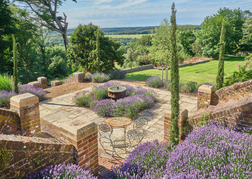 Lavender Garden