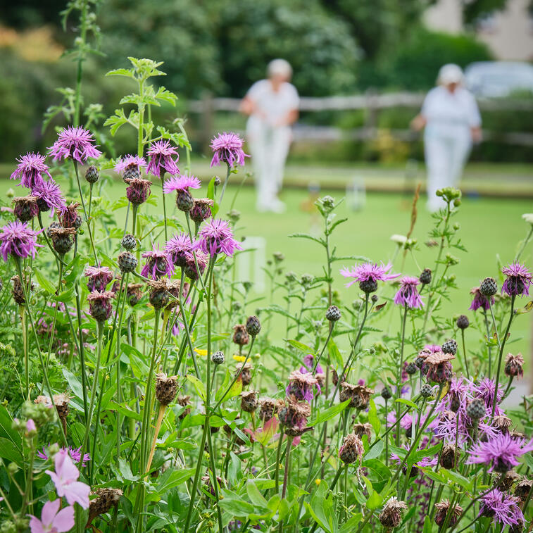 Bowls and wild flowers