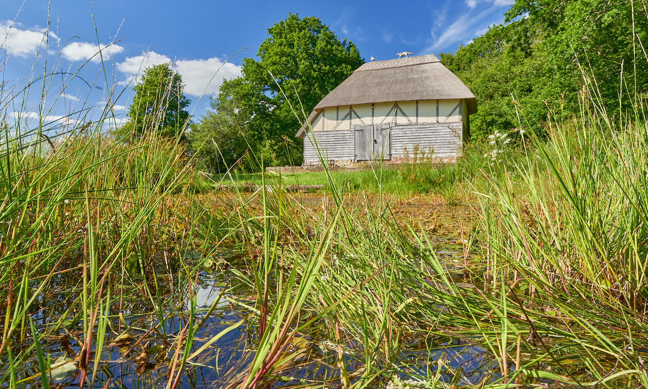 Old barn by farm pond
