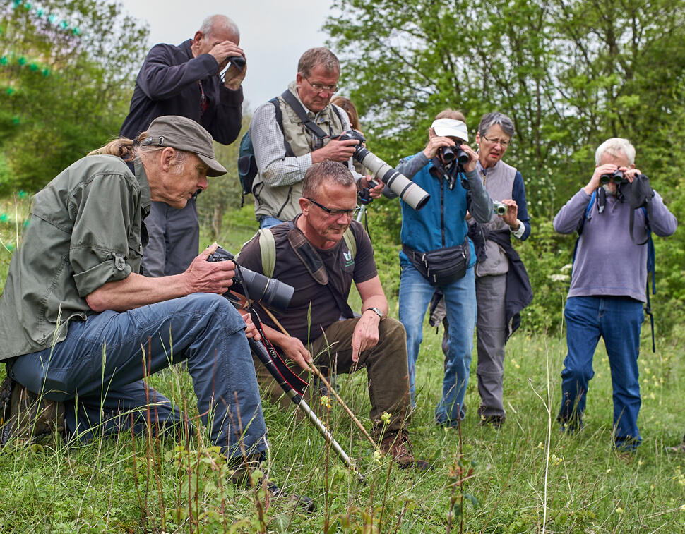 Photographing rare butterflies