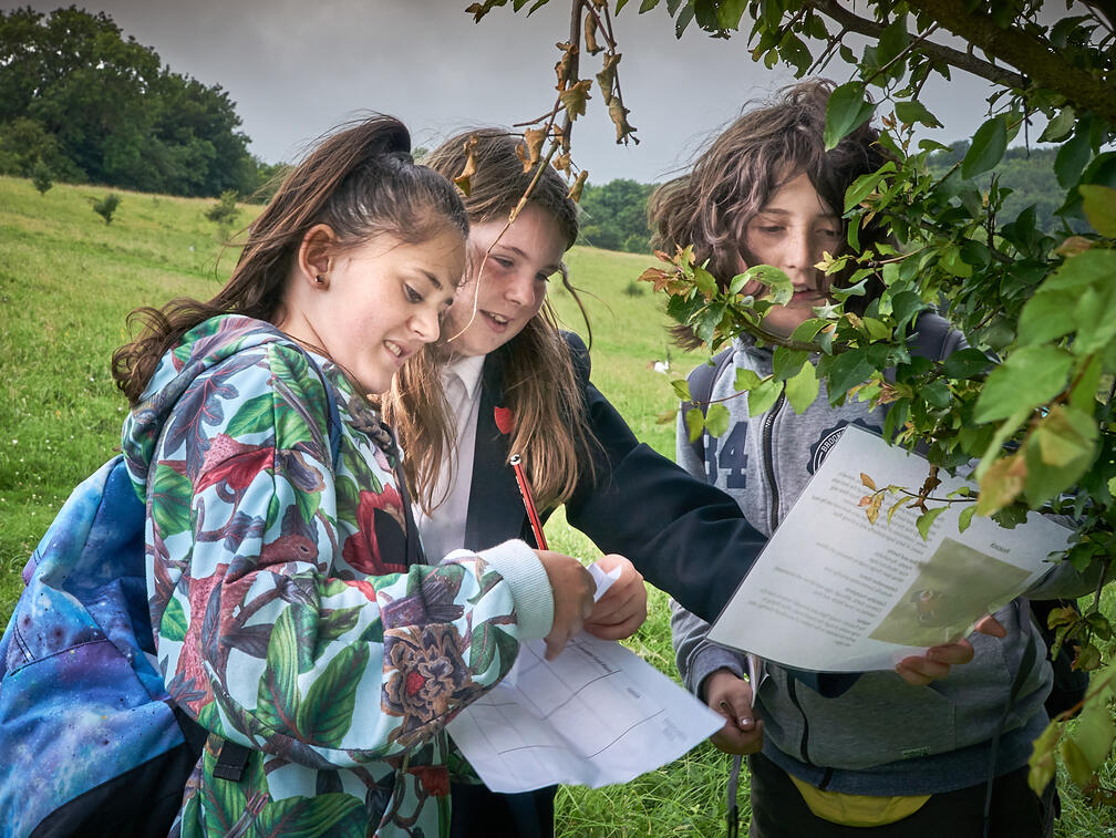 Children nature study