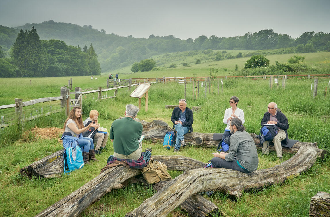 Creative writing session