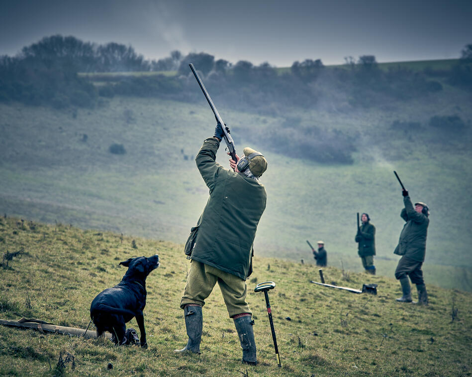 shooting pheasants