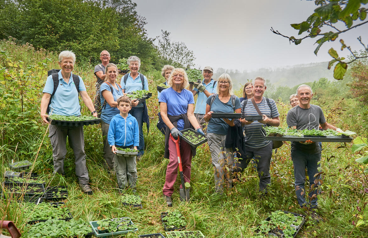 Planting wild flower plugs