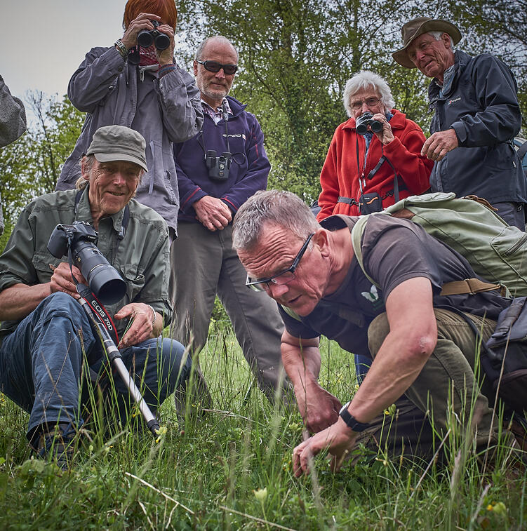 Photographing rare butterflies