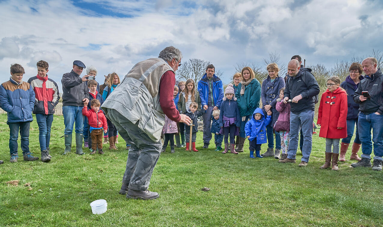 Adder demonstration